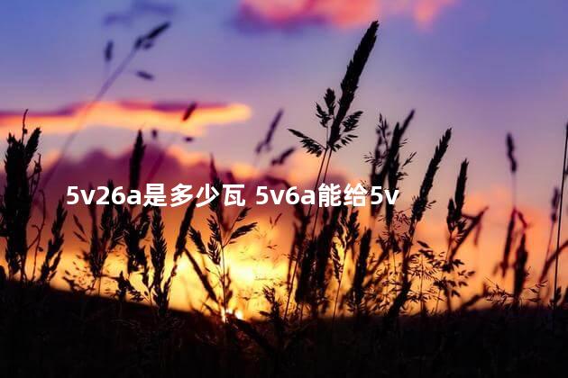 5v26a是多少瓦 5v6a能给5v2a充电吗